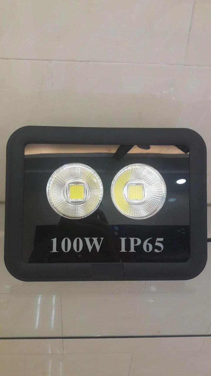 ĐÈN PHA SÂN BÓNG  CHÓA CỐC 100W HLP06-100